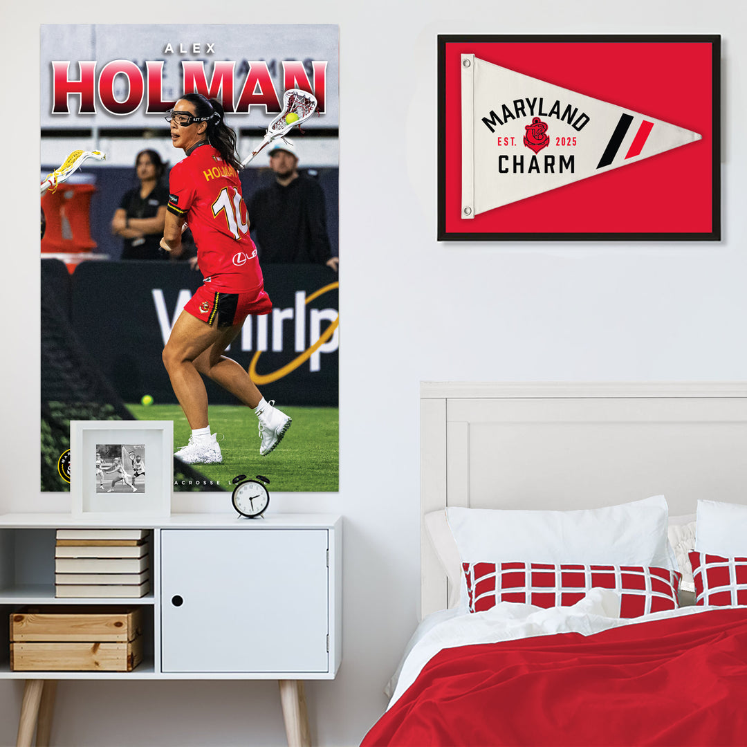 Maryland Charm Retro Canvas Pennant