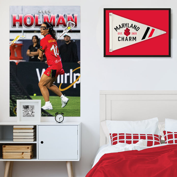 Maryland Charm Retro Canvas Pennant