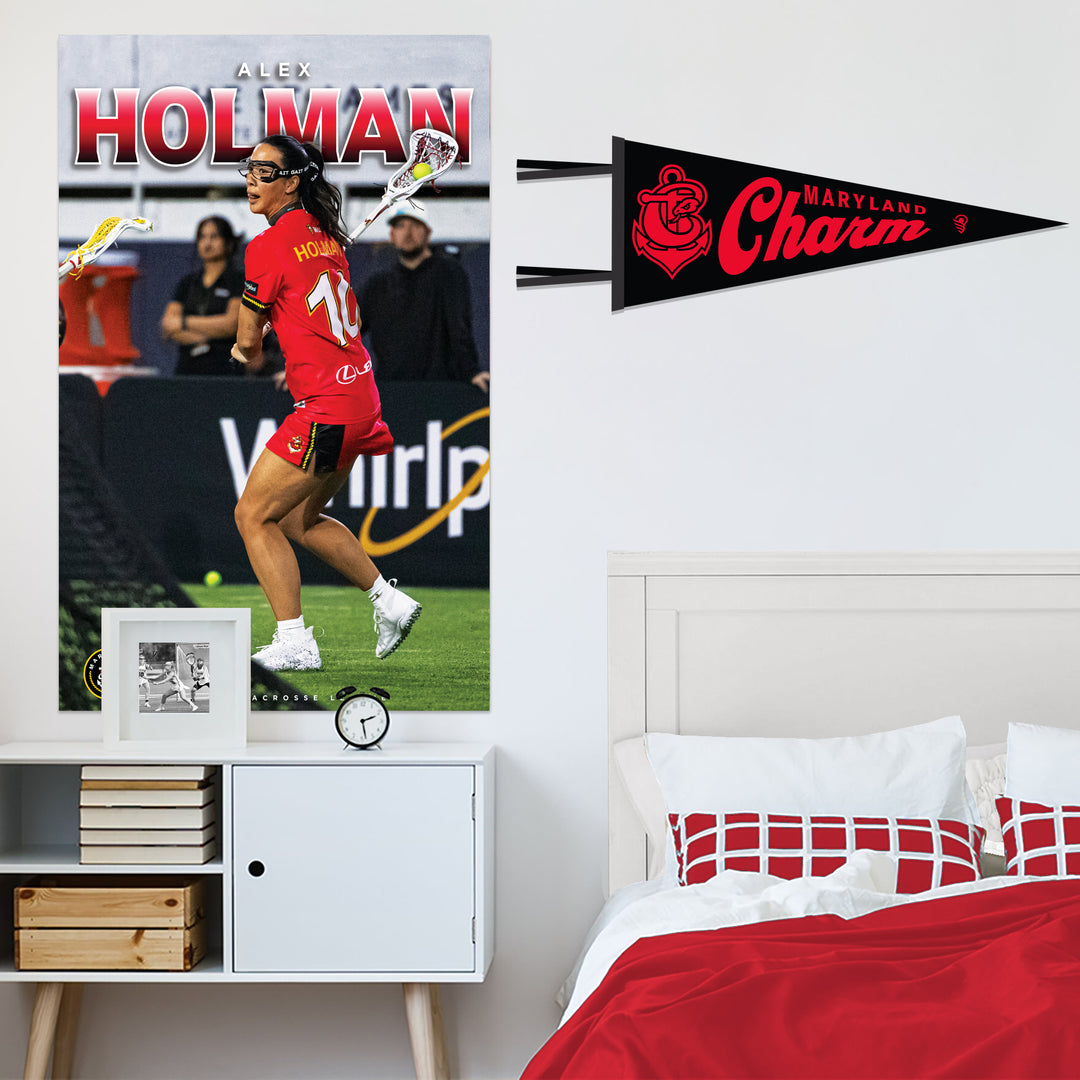 Maryland Charm Felt Pennant