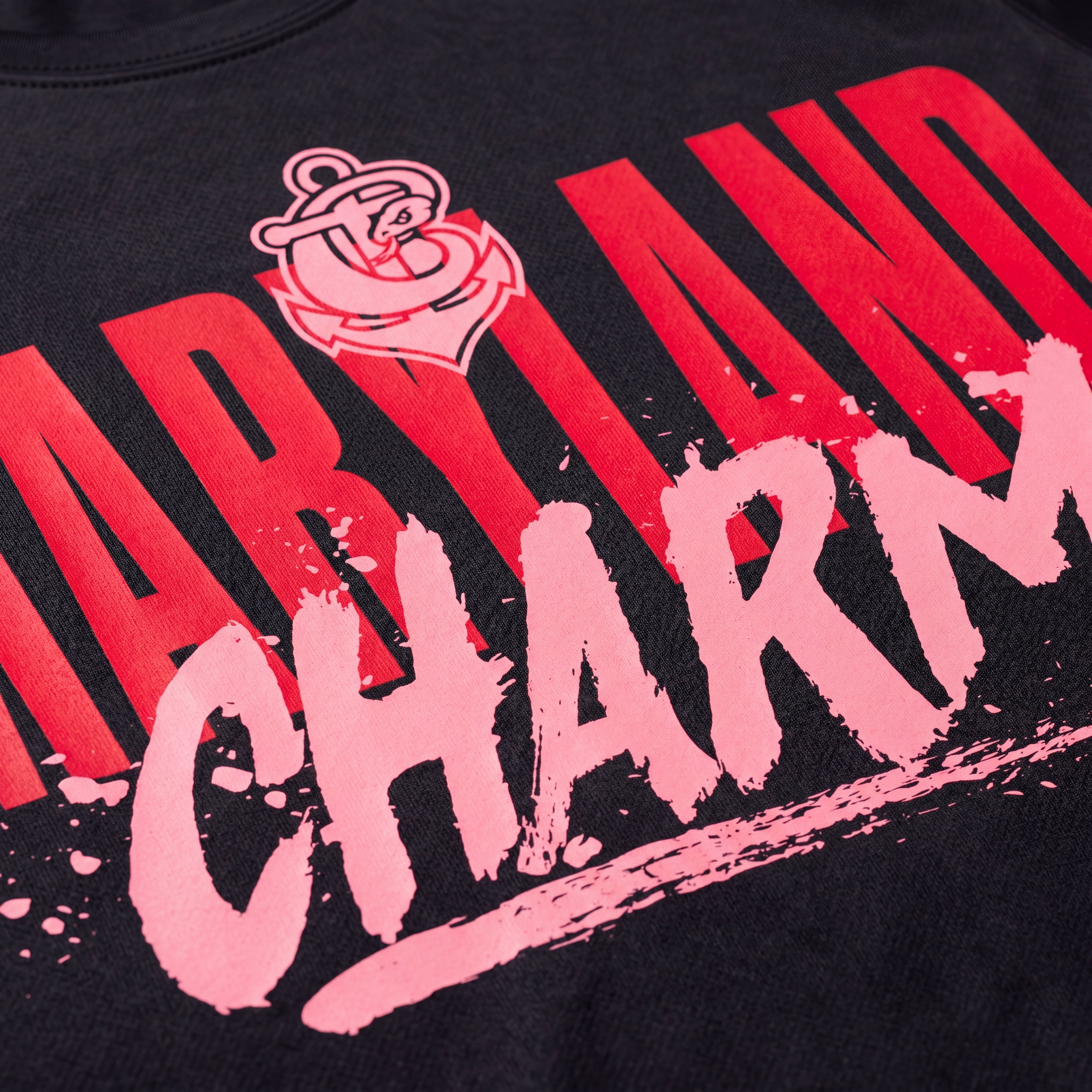 トップス LOGO CHARM T SHIRTS Maryland Charm Nike One Relaxed Logo Tee – WLL