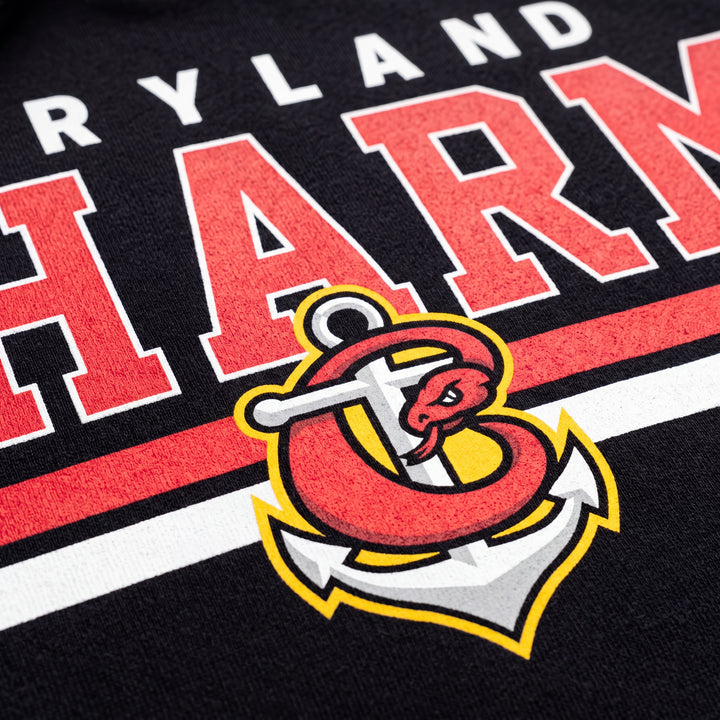 Maryland Charm Nike Phoenix Hoodie